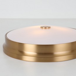 Потолочный светильник 2375-3C