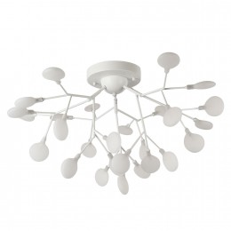 Потолочный светильник 2479-9U