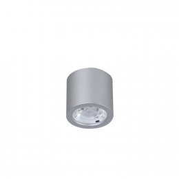 Потолочный светильник 2808-1C