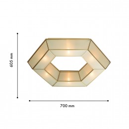Потолочный светильник 4120-6C