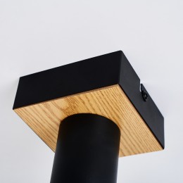 Потолочный светильник 4431-1C