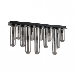 Потолочный светильник 4454-12P