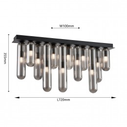 Потолочный светильник 4454-12P