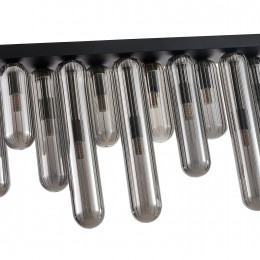 Потолочный светильник 4454-12P