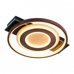 Потолочный светильник 4699-1C