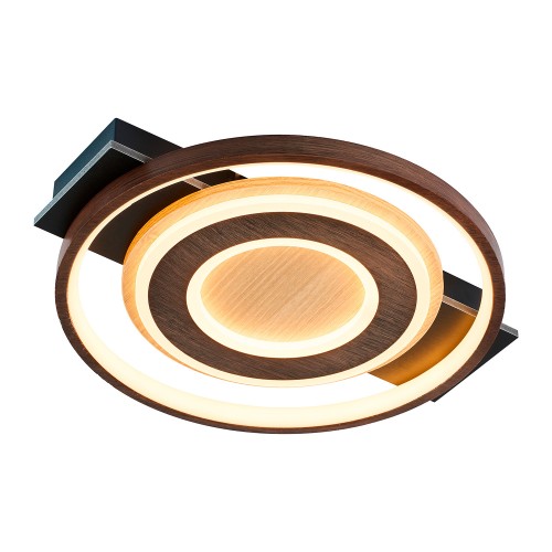 Потолочный светильник 4699-1C