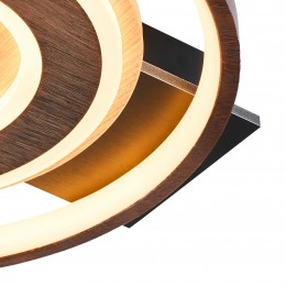 Потолочный светильник 4699-1C