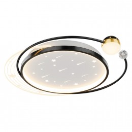 Потолочный светильник 4742-5C