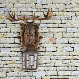 Уличный светильник 2078-1W