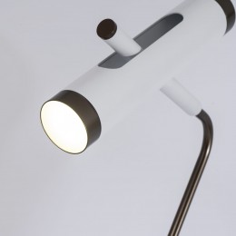 Напольный светильник 2325-2F