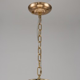 Подвесная люстра 2689-9P