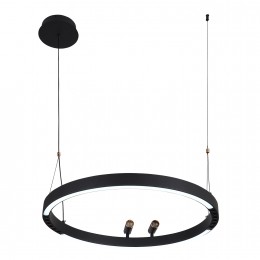 Подвесная люстра 4474-1P