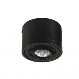 Потолочный светильник 1779-1C