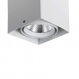 Потолочный светильник 1986-1U