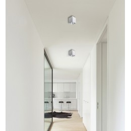 Потолочный светильник 1986-1U