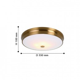 Потолочный светильник 2375-5C