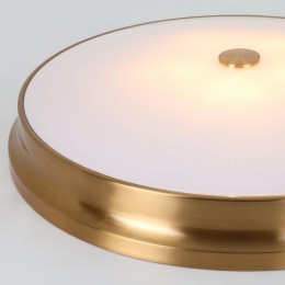 Потолочный светильник 2375-5C