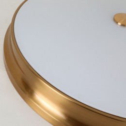 Потолочный светильник 2375-5C