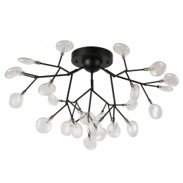 Потолочный светильник 2480-9U