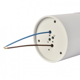 Потолочный светильник 3064-1C