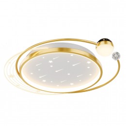 Потолочный светильник 4743-5C