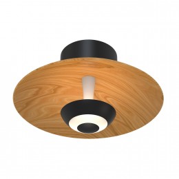 Настенный светильник 4288-1W