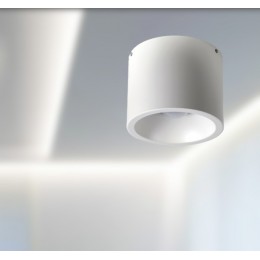 Потолочный светильник 1993-1C