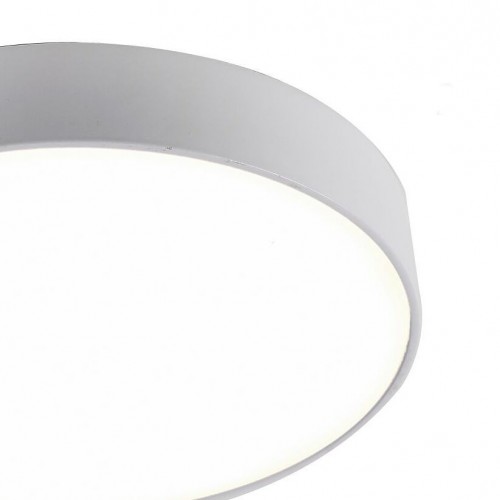 Потолочный светильник 2065-30C