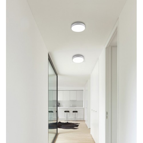 Потолочный светильник 2065-30C