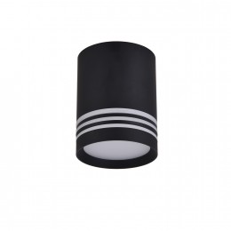 Потолочный светильник 3066-1C