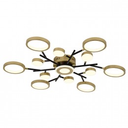 Потолочный светильник 4686-13C