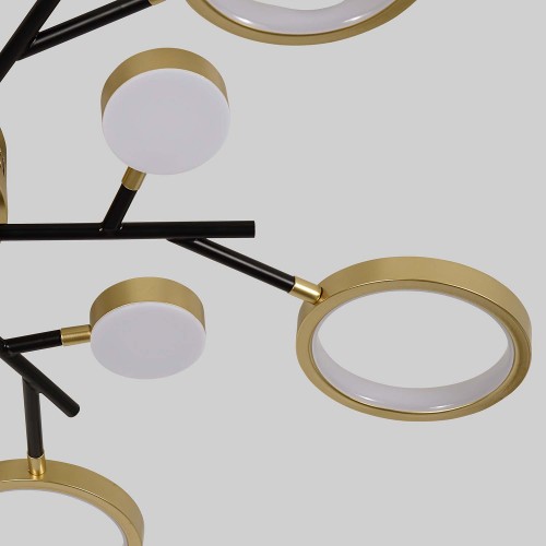 Потолочный светильник 4686-13C