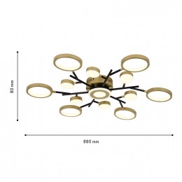 Потолочный светильник 4686-13C