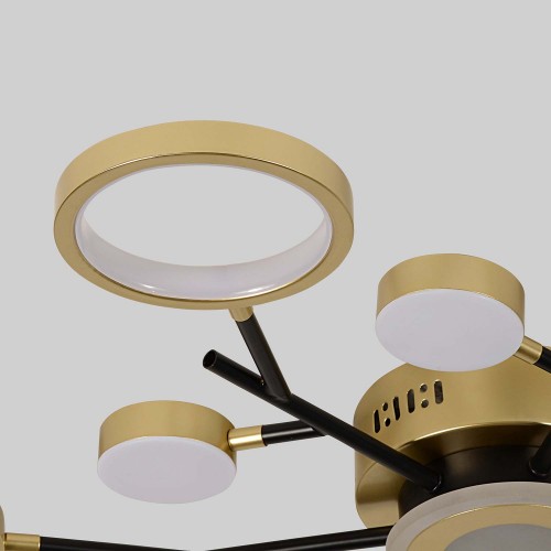 Потолочный светильник 4686-13C