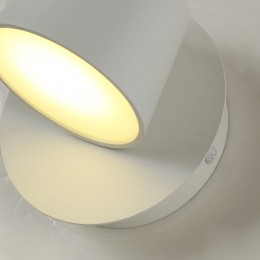 Настенный светильник 1853-1W