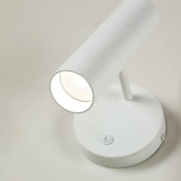 Настенный светильник 2108-1W