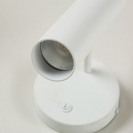 Настенный светильник 2108-1W