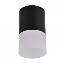 Потолочный светильник 3070-1C