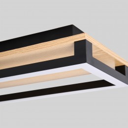 Потолочный светильник 4434-1C