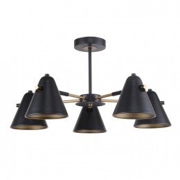 Потолочная люстра 2844-5P