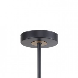 Потолочная люстра 2844-5P