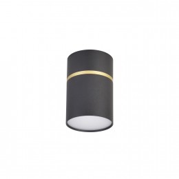 Потолочный светильник 3068-1C