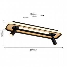 Потолочный светильник 4439-2C