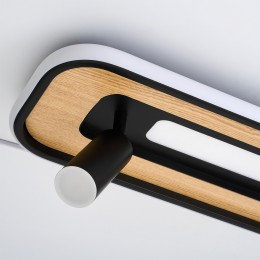 Потолочный светильник 4439-2C