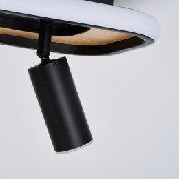 Потолочный светильник 4439-2C