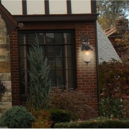 Уличный светильник 1337-1WL