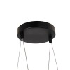 Подвесная/потолочная люстра 4560-2PC