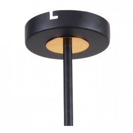 Потолочная люстра 2558-8P