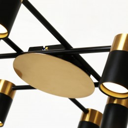 Потолочная люстра 2825-8P