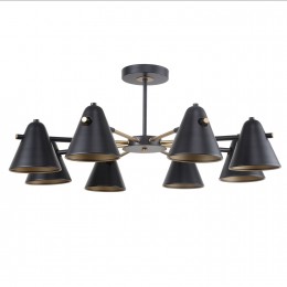 Потолочная люстра 2844-8P